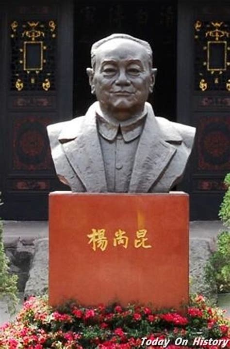 杨尚昆|杨家将事件